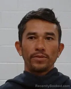 Mugshot of Fredi Menjivar Jiron