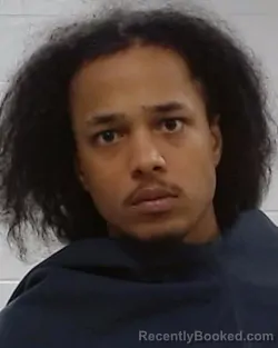 Mugshot of Nathaniel Dayshawn McLamore