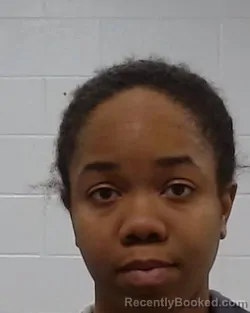 Mugshot of Erika Taylor Williams