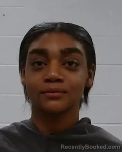 Mugshot of Dyani Aman Young