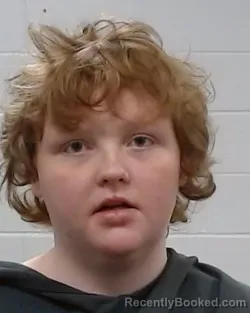 Mugshot of Stormie Ranee Wright booked in Collin County, Texas on March 18, 2026