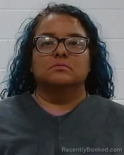 Mugshot of Elideth Sanchez Ochoa booked in Collin County, Texas on March 14, 2026