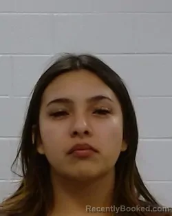 Mugshot of Odalys Melissa Lopez Prado booked in Collin County, Texas on March 14, 2026