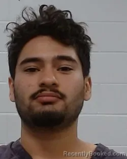 Mugshot of Levi Eliseo Cruz booked in Collin County, Texas on March 14, 2026