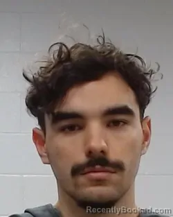 Mugshot of Dylan Kapono Forbes Robertson