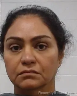 Mugshot of Shabnam Syed Khan booked in Collin County, Texas on March 15, 2026