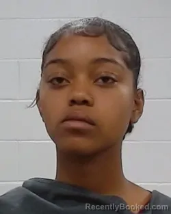 Mugshot of Rayne Ruby Lewis booked in Collin County, Texas on March 16, 2026