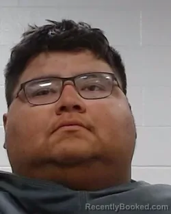 Mugshot of Luis Ray Hernandez booked in Collin County, Texas on March 16, 2026