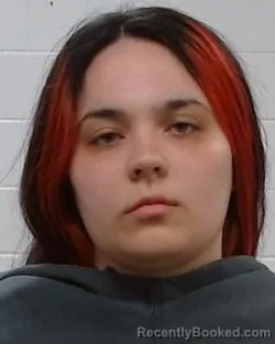 Booking photo from Collin County, Texas