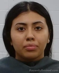 Mugshot of Noemi Yamiletn Guevara Guzman booked in Collin County, Texas on March 18, 2026