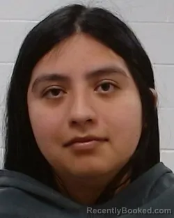 Mugshot of Pamela Grace Toledo