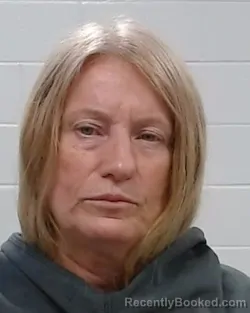 Mugshot of LISA MORGAN booked in Collin County, Texas on March 19, 2026