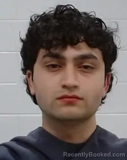 Mugshot of Mirza Begg booked in Collin County, Texas on March 21, 2026