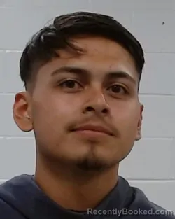 Mugshot of PABLO JR NUNEZ booked in Collin County, Texas on March 21, 2026