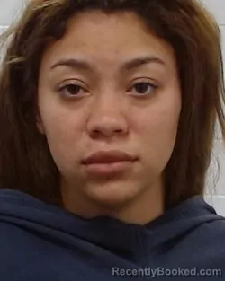 Mugshot of Wendys Susini booked in Collin County, Texas on March 22, 2026