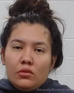 Mugshot of YOLANDA MARIA ALONSO-SANCHEZ booked in Collin County, Texas on March 23, 2026