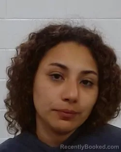 Mugshot of Celestia Divine Love Lozano booked in Collin County, Texas on March 23, 2026