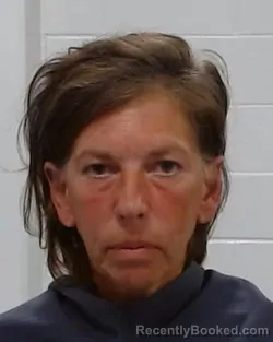 Mugshot of Amy Lynn Zetterlund booked in Collin County, Texas on March 23, 2026