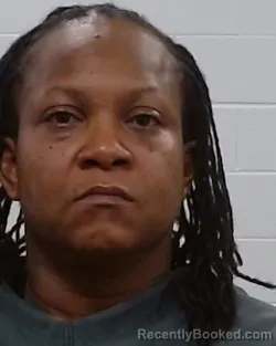 Mugshot of Stephanie Renee Drain booked in Collin County, Texas on March 24, 2026