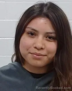 Mugshot of Ana Lopez booked in Collin County, Texas on March 24, 2026