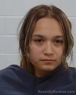 Mugshot of Doris Nayely Contreras Cruz booked in Collin County, Texas on March 25, 2026