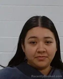 Mugshot of Denise Duran booked in Collin County, Texas on March 25, 2026