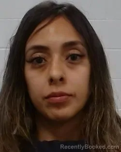 Mugshot of Adriana Elizabeth Elizondo booked in Collin County, Texas on March 25, 2026