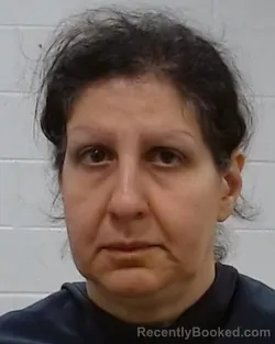 Mugshot of Neda Sadeghi booked in Collin County, Texas on March 25, 2026