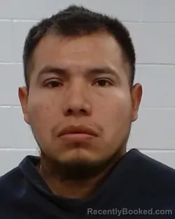 Mugshot of Francisco Regalado-Ramos booked in Collin County, Texas on March 25, 2026