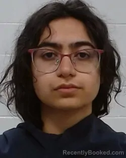 Mugshot of Sehair Noorbhai booked in Collin County, Texas on March 25, 2026