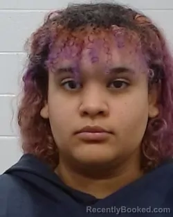 Mugshot of Nikaia Jasmin Amerie Hernandez booked in Collin County, Texas on March 26, 2026