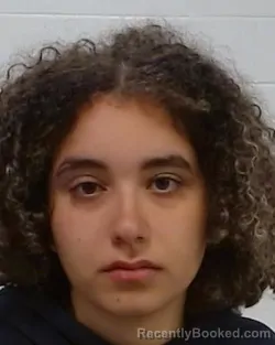 Mugshot of Hajar Sabir booked in Collin County, Texas on March 26, 2026