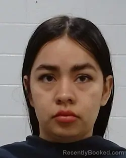 Mugshot of Lorena Albarracin booked in Collin County, Texas on March 26, 2026