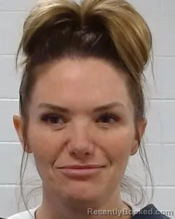 Mugshot of Kristina Rae Castillo booked in Collin County, Texas on March 27, 2026