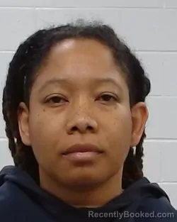 Mugshot of Ashley Danene Holt booked in Collin County, Texas on March 27, 2026