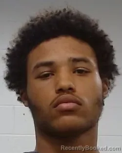 Mugshot of Jr Del Castillo booked in Collin County, Texas on March 27, 2026