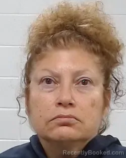 Mugshot of Elva Mancias booked in Collin County, Texas on March 27, 2026