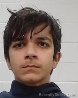 Mugshot of Ali Reza Amoori booked in Collin County, Texas on March 27, 2026