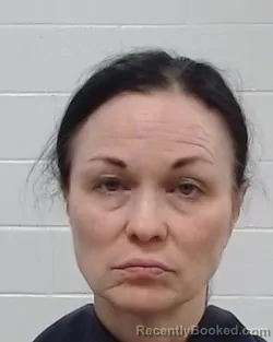 Mugshot of Shawna Delane Morris booked in Collin County, Texas on March 27, 2026