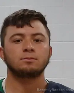 Mugshot of Jr Guerrero booked in Collin County, Texas on March 28, 2026