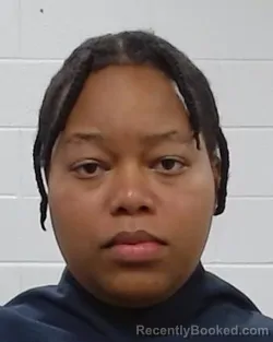 Mugshot of Chanel Roselyn Solomon booked in Collin County, Texas on March 29, 2026