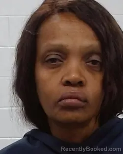 Mugshot of Christine Nikirote Muriungi booked in Collin County, Texas on March 29, 2026