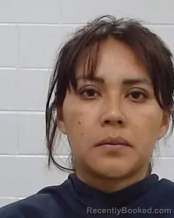 Mugshot of Enelida Hernandez Lopez booked in Collin County, Texas on March 30, 2026