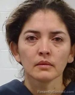 Mugshot of Linda Paola Osorio Godoy booked in Collin County, Texas on April 1, 2026