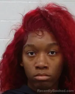 Mugshot of LANAIYA TRENAEJ PRESTON booked in Collin County, Texas on April 1, 2026