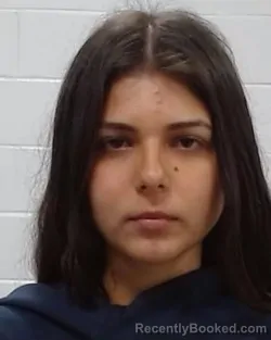 Mugshot of Rafaela Carlos Antunes De Andrade booked in Collin County, Texas on April 1, 2026