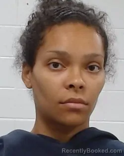 Mugshot of Abigail Perkins booked in Collin County, Texas on April 1, 2026