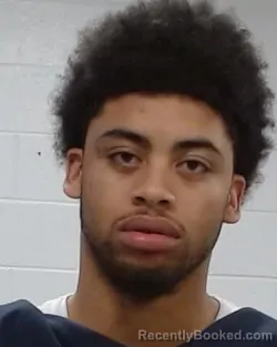 Mugshot of Teven Like booked in Collin County, Texas on April 1, 2026