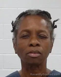 Mugshot of Lajuana Stewart booked in Collin County, Texas on April 2, 2026