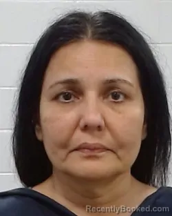 Mugshot of Sheetal Tejas Shroff booked in Collin County, Texas on April 2, 2026